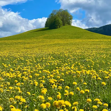 Seetalblick Sankt Wolfgang