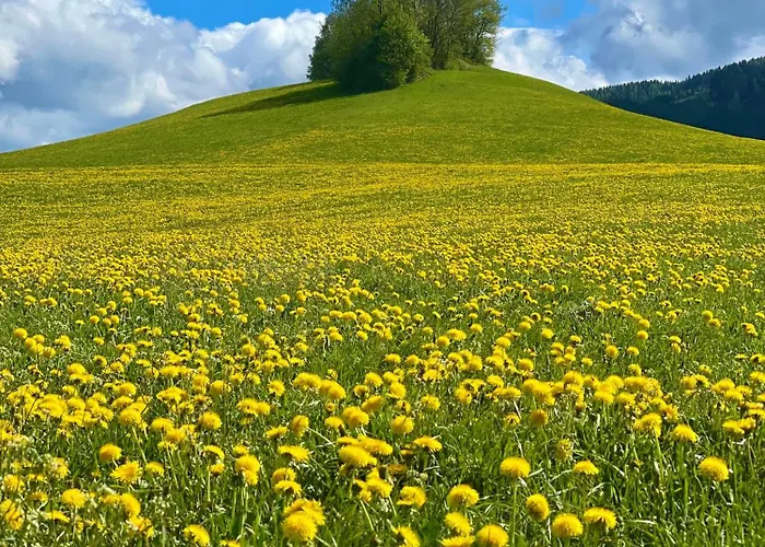 Seetalblick Sankt Wolfgang