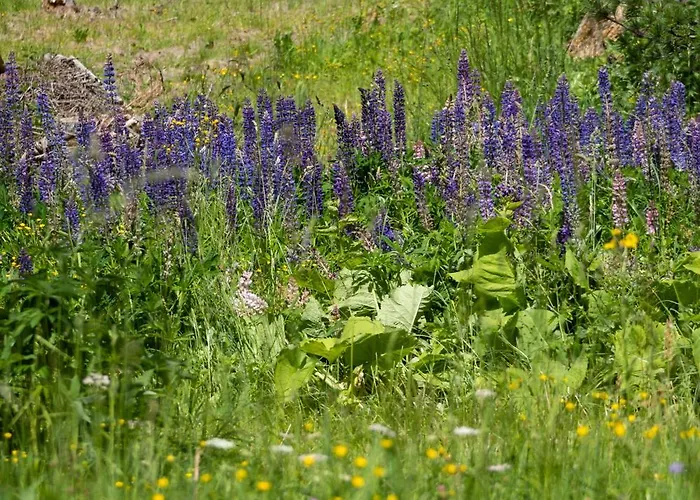 Seetalblick * Sankt Wolfgang